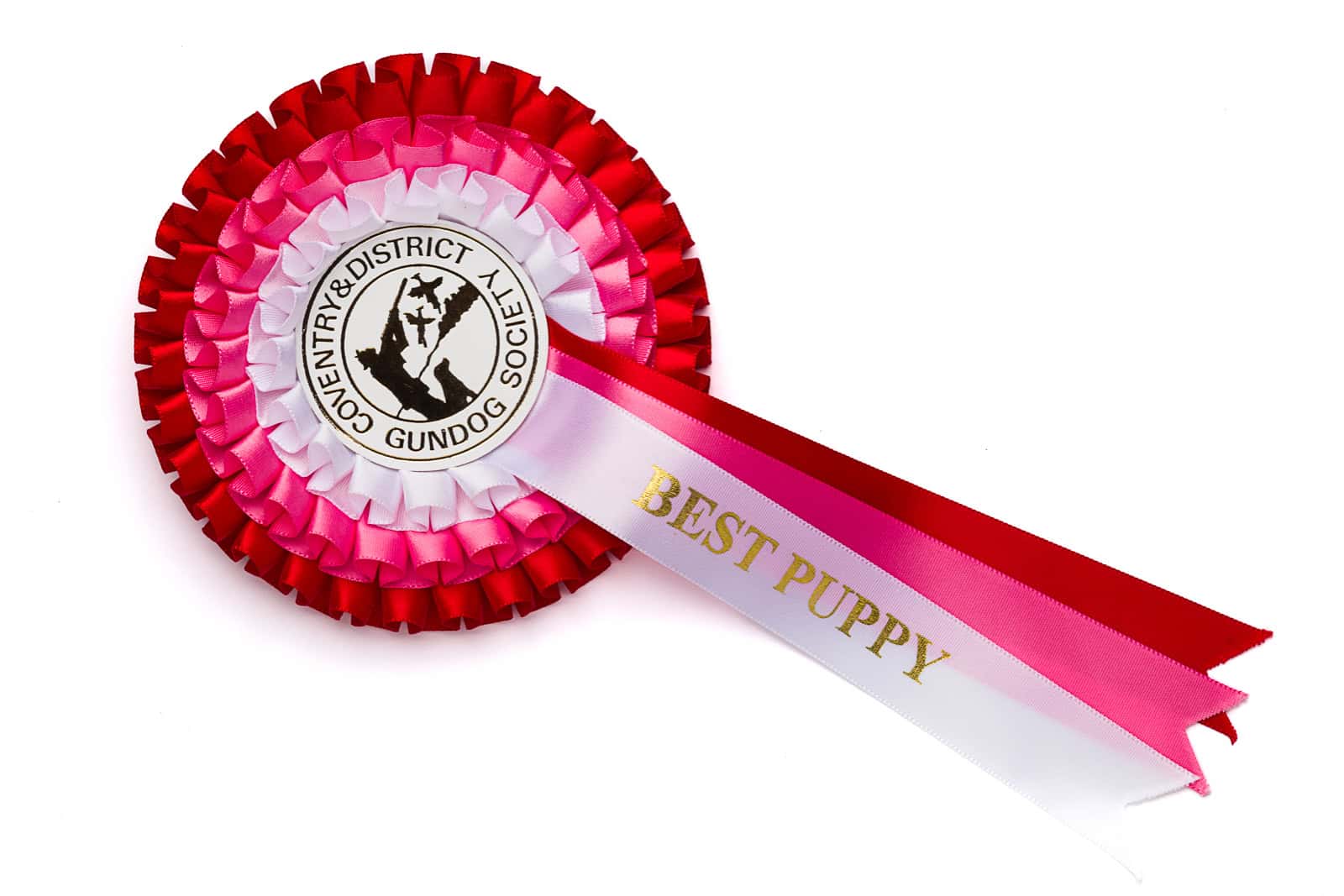 best puppy show rosette