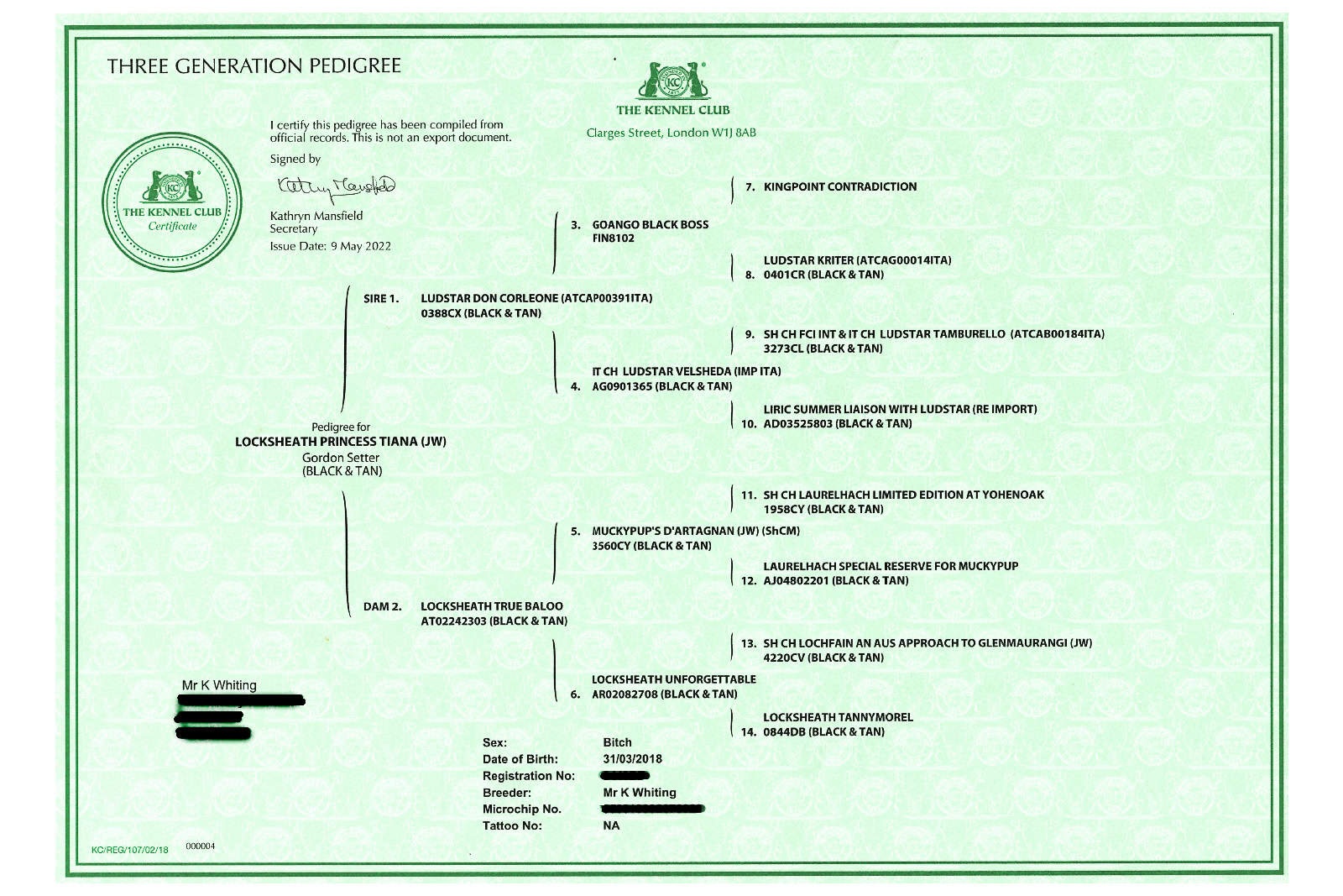 Gordon Setter Pedigree chart