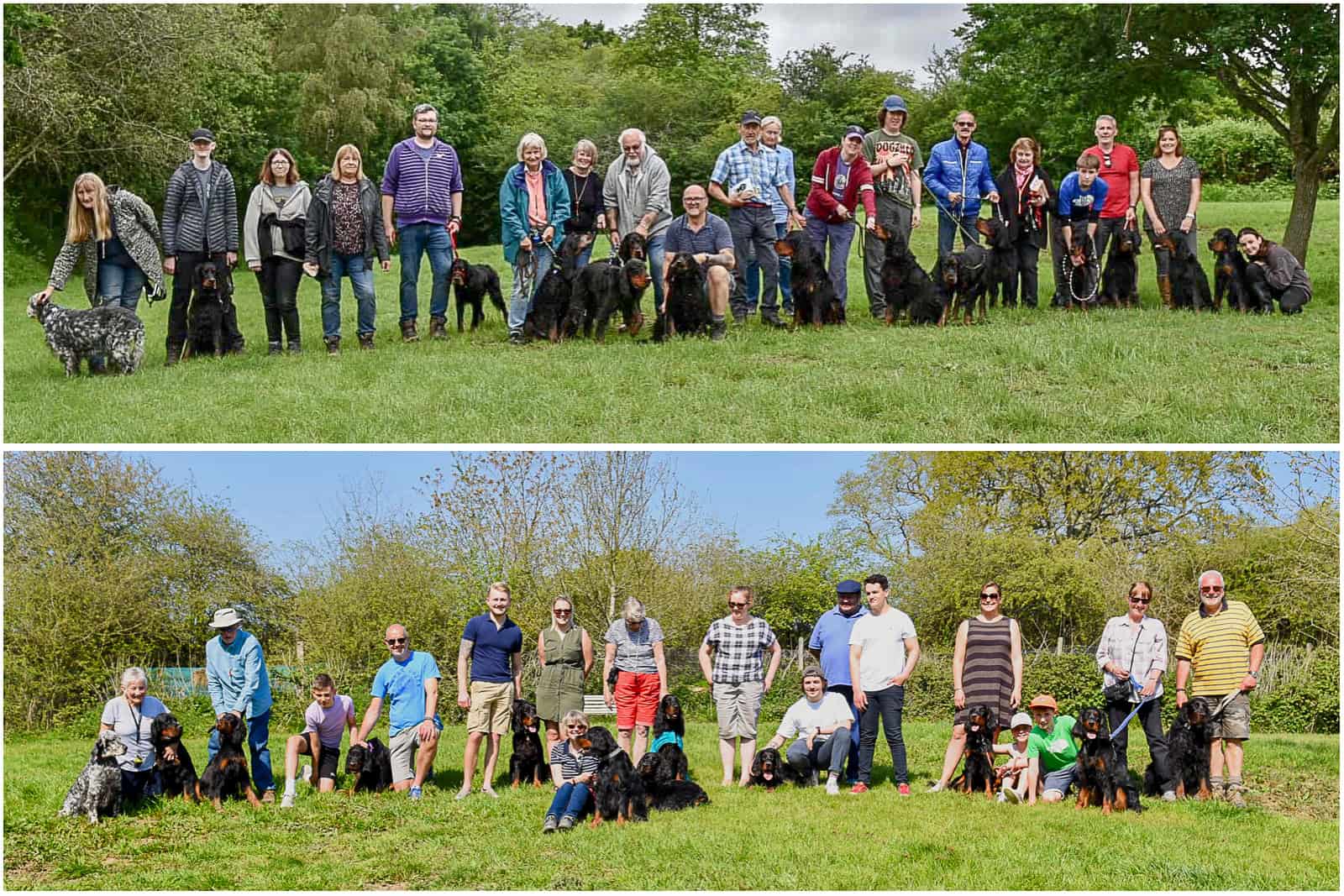 Locksheath gordon setter 1st birthday puppy party