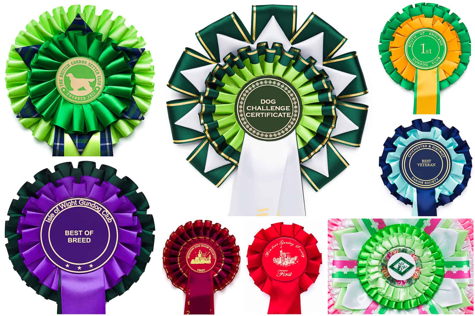 Dog championship show rosettes