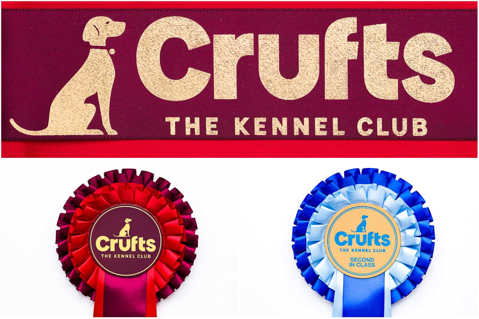 Crufts Kennel Club qualifier rosette's