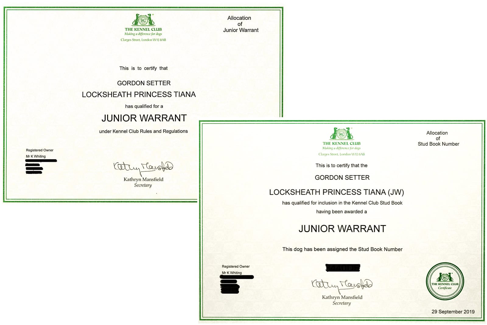 Junior Warrant Kennel Club Dog certificates