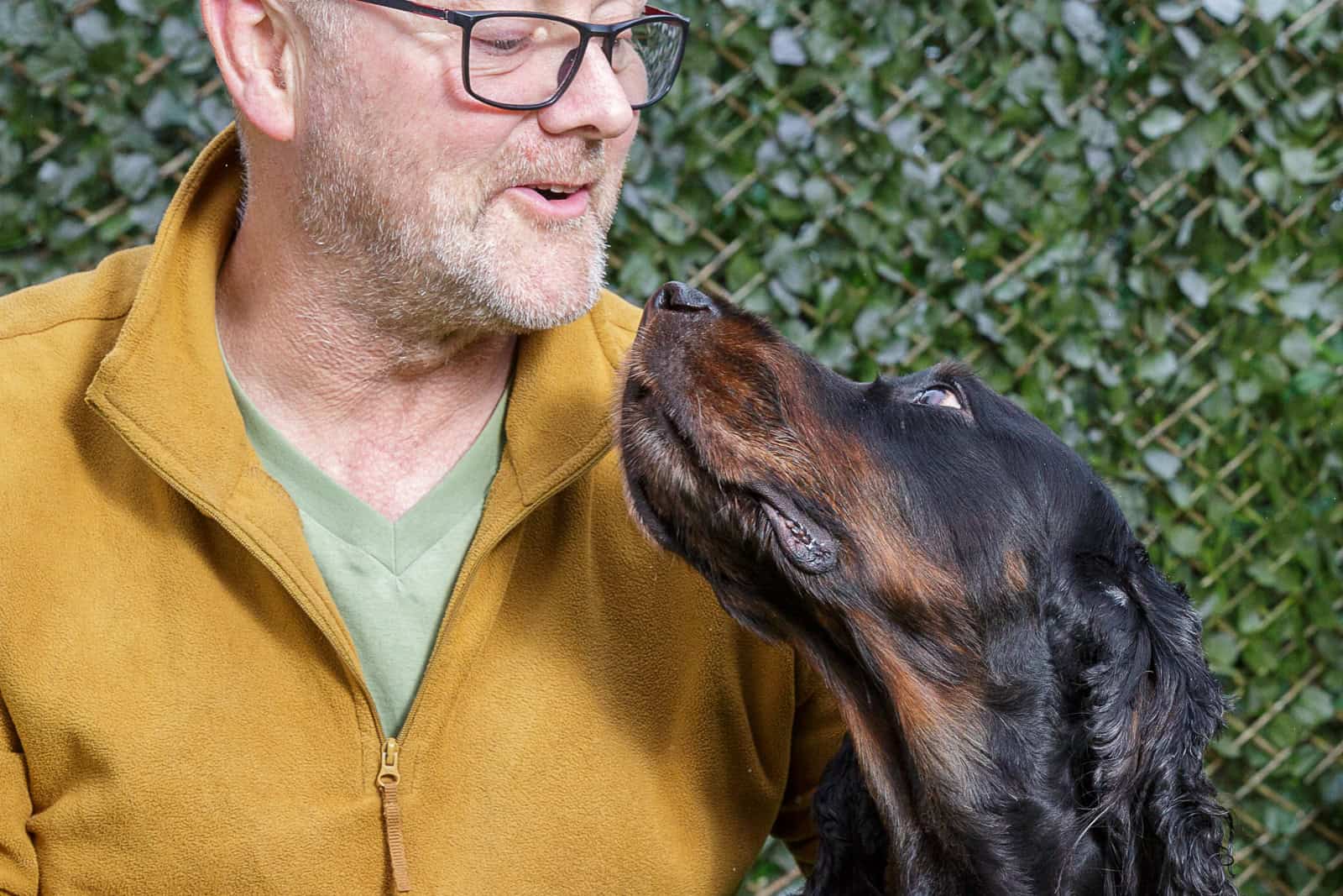 Close up of male Gordon Setter dog breeder and gordon setter dog looking lovingly at each other