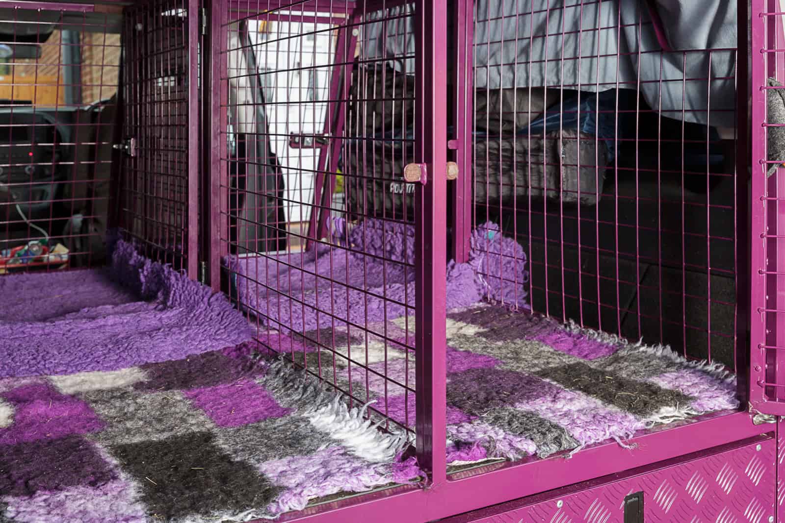 Van fitted with customised cages for travelling with dogs